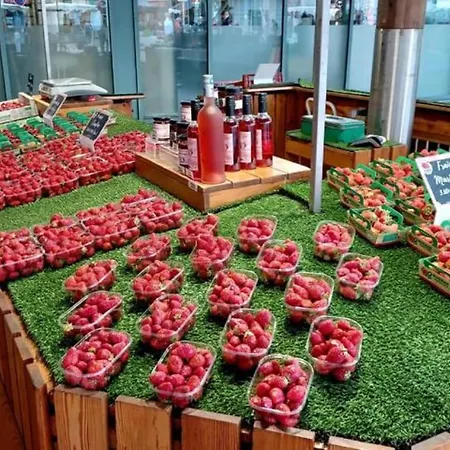 Petit Nid Au Coeur De Terrasse Et Piscine