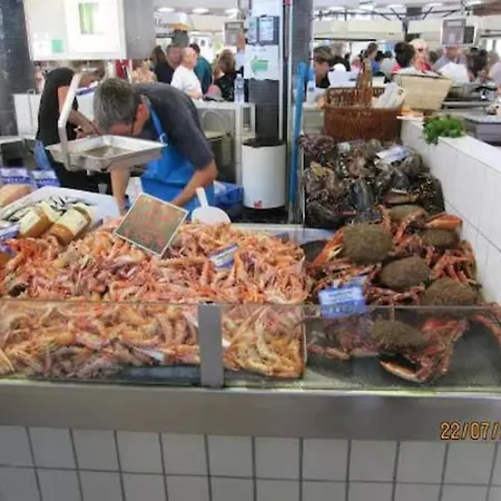 Petit Nid Au Coeur De Terrasse Et Piscine Apartment *